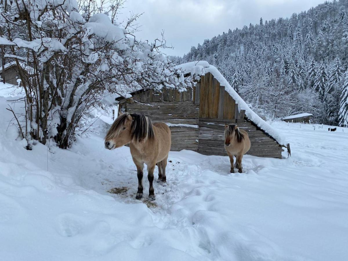 Les Authentics - La Ferme Des Delices & Spa Gérardmer Exteriör bild
