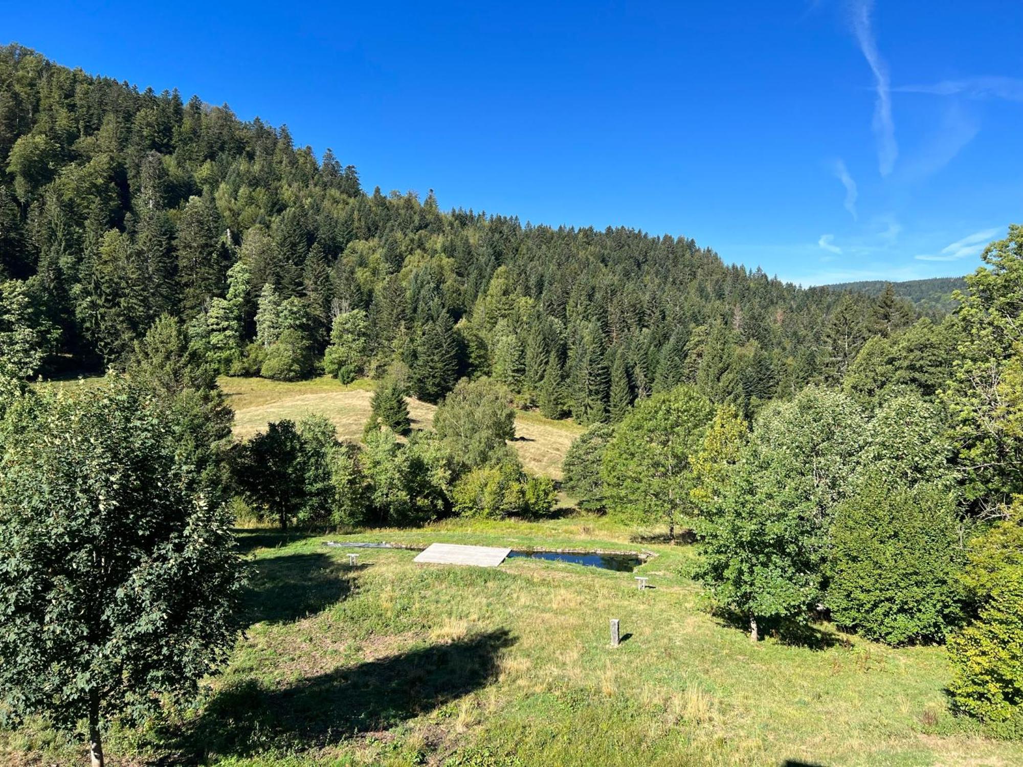 Les Authentics - La Ferme Des Delices & Spa Gérardmer Exteriör bild