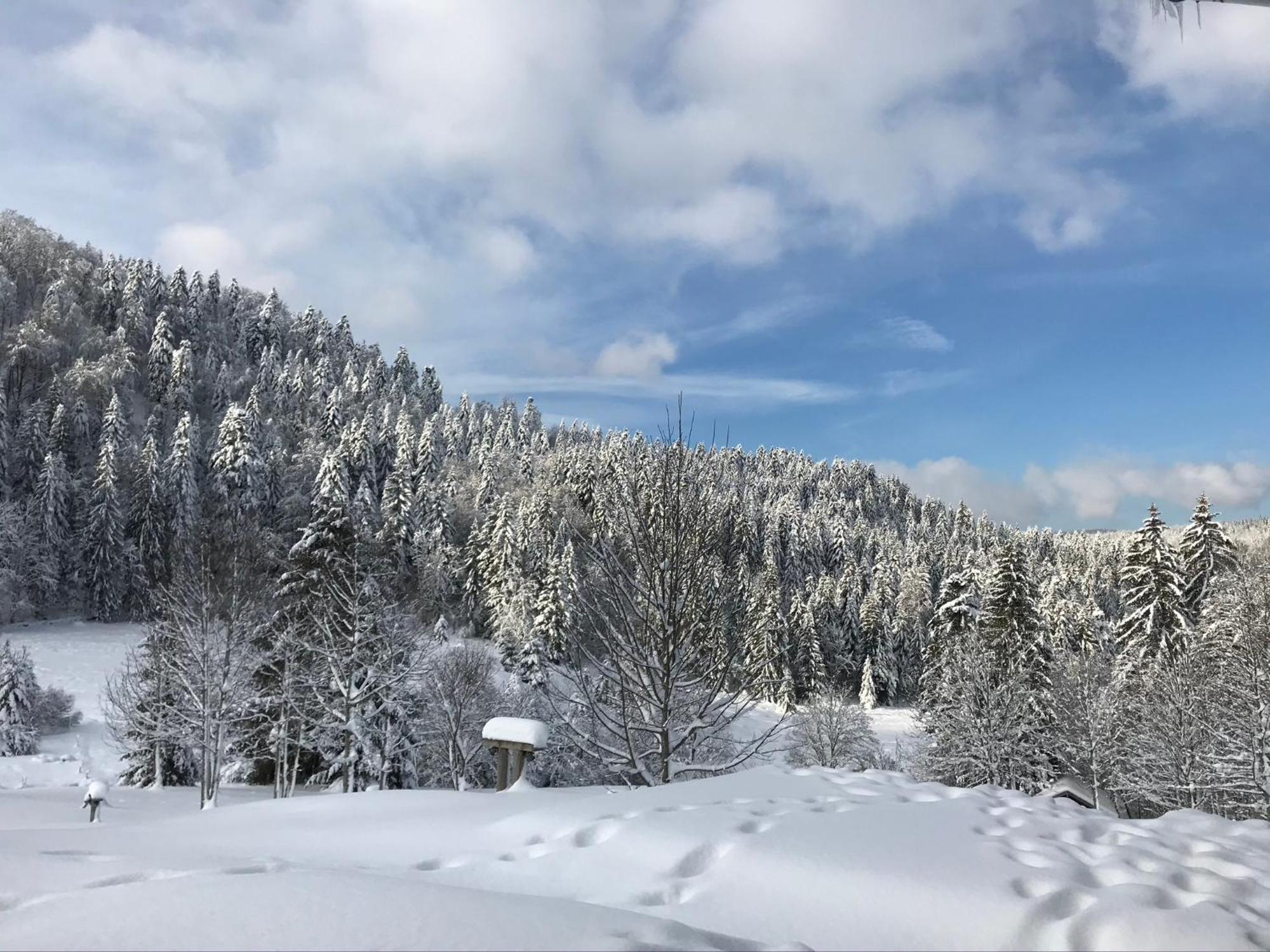 Les Authentics - La Ferme Des Delices & Spa Gérardmer Exteriör bild