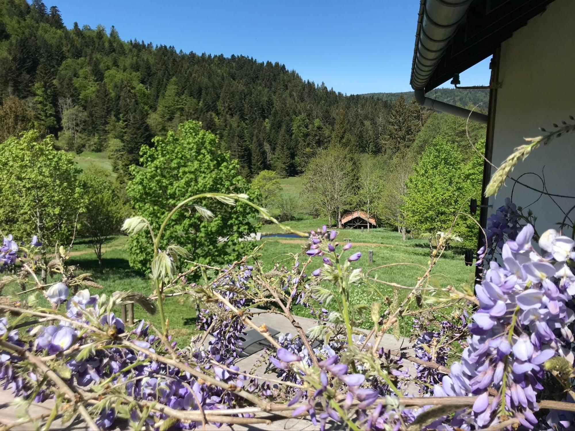 Les Authentics - La Ferme Des Delices & Spa Gérardmer Exteriör bild