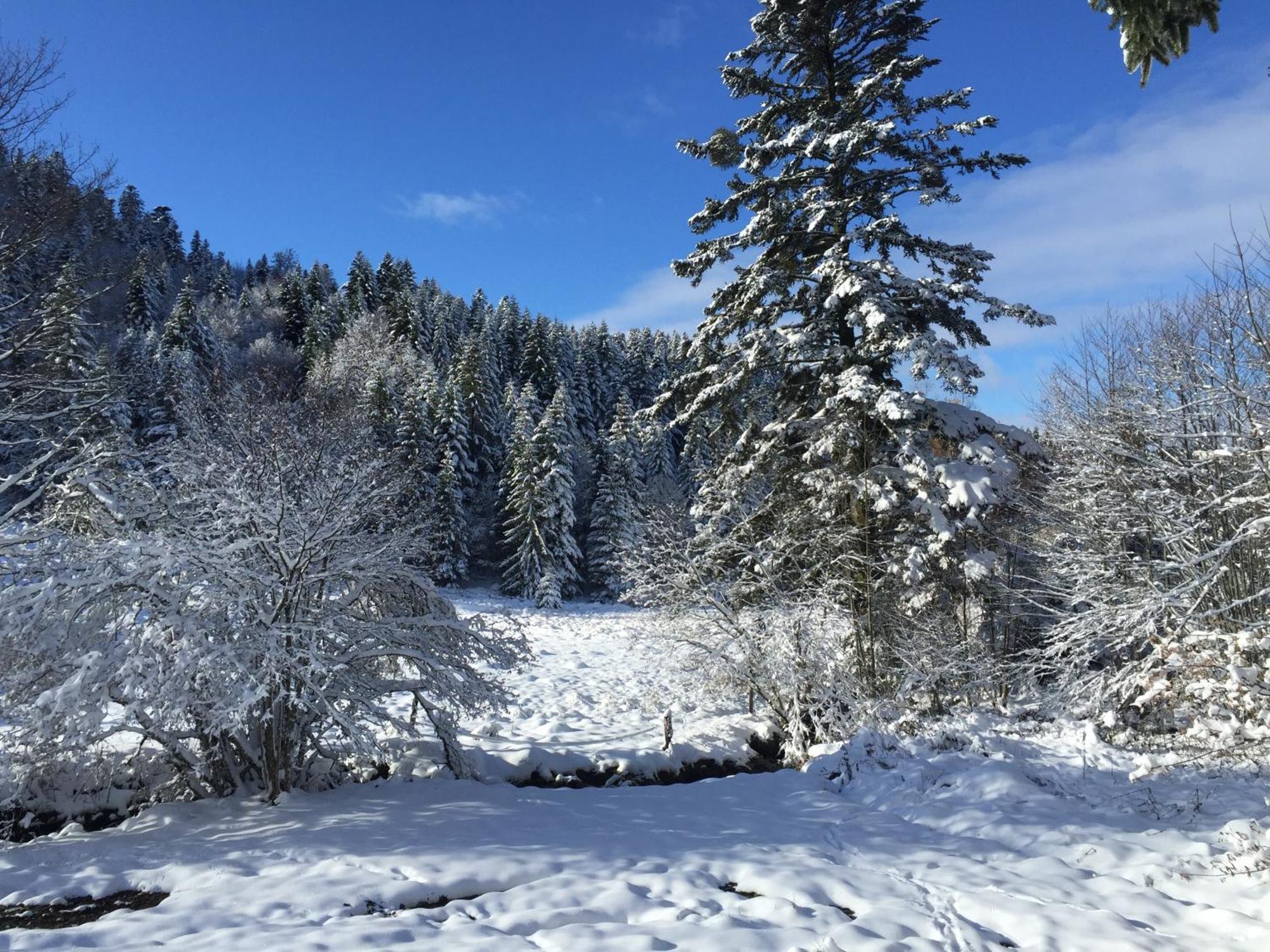 Les Authentics - La Ferme Des Delices & Spa Gérardmer Exteriör bild