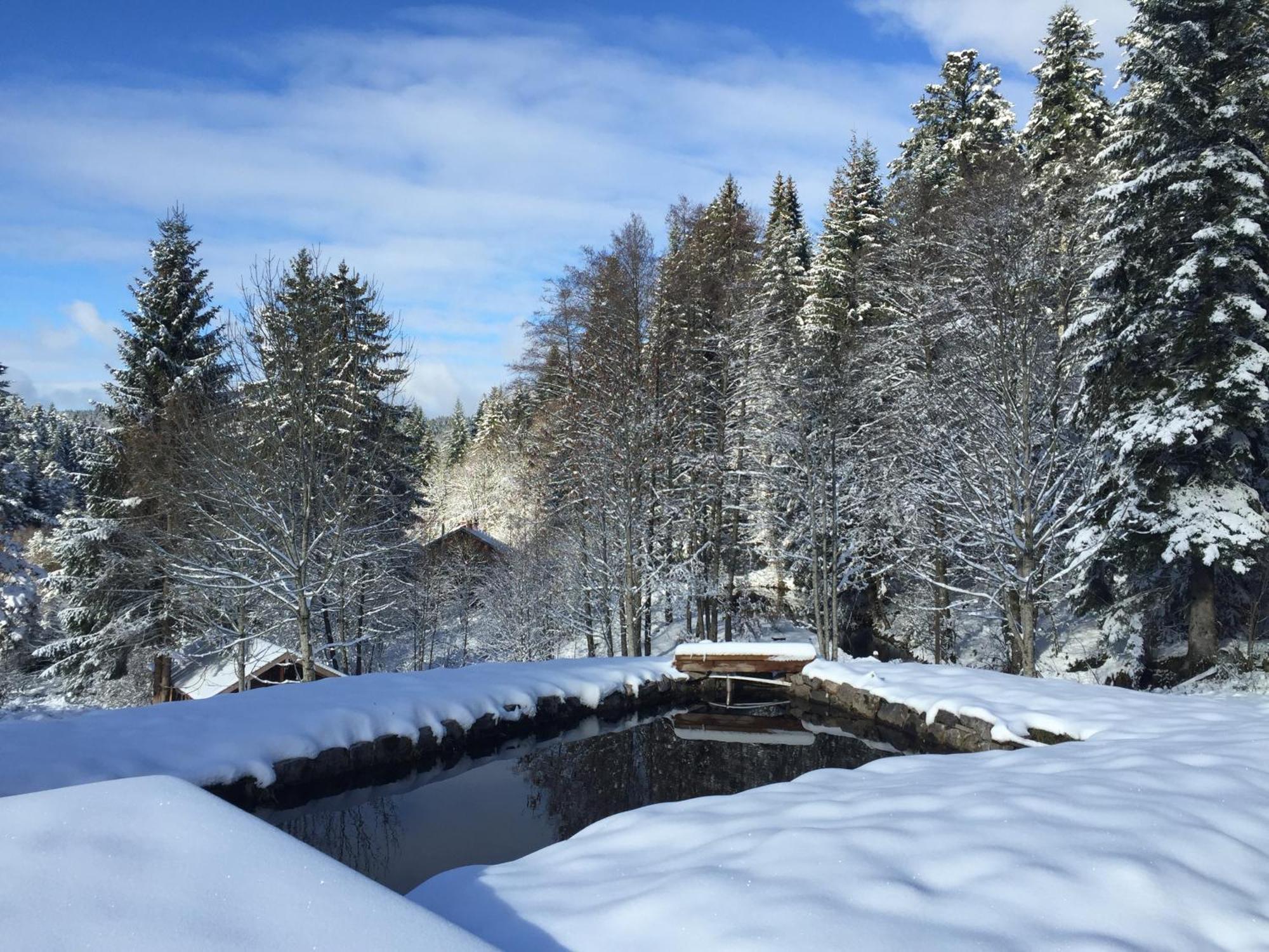 Les Authentics - La Ferme Des Delices & Spa Gérardmer Exteriör bild