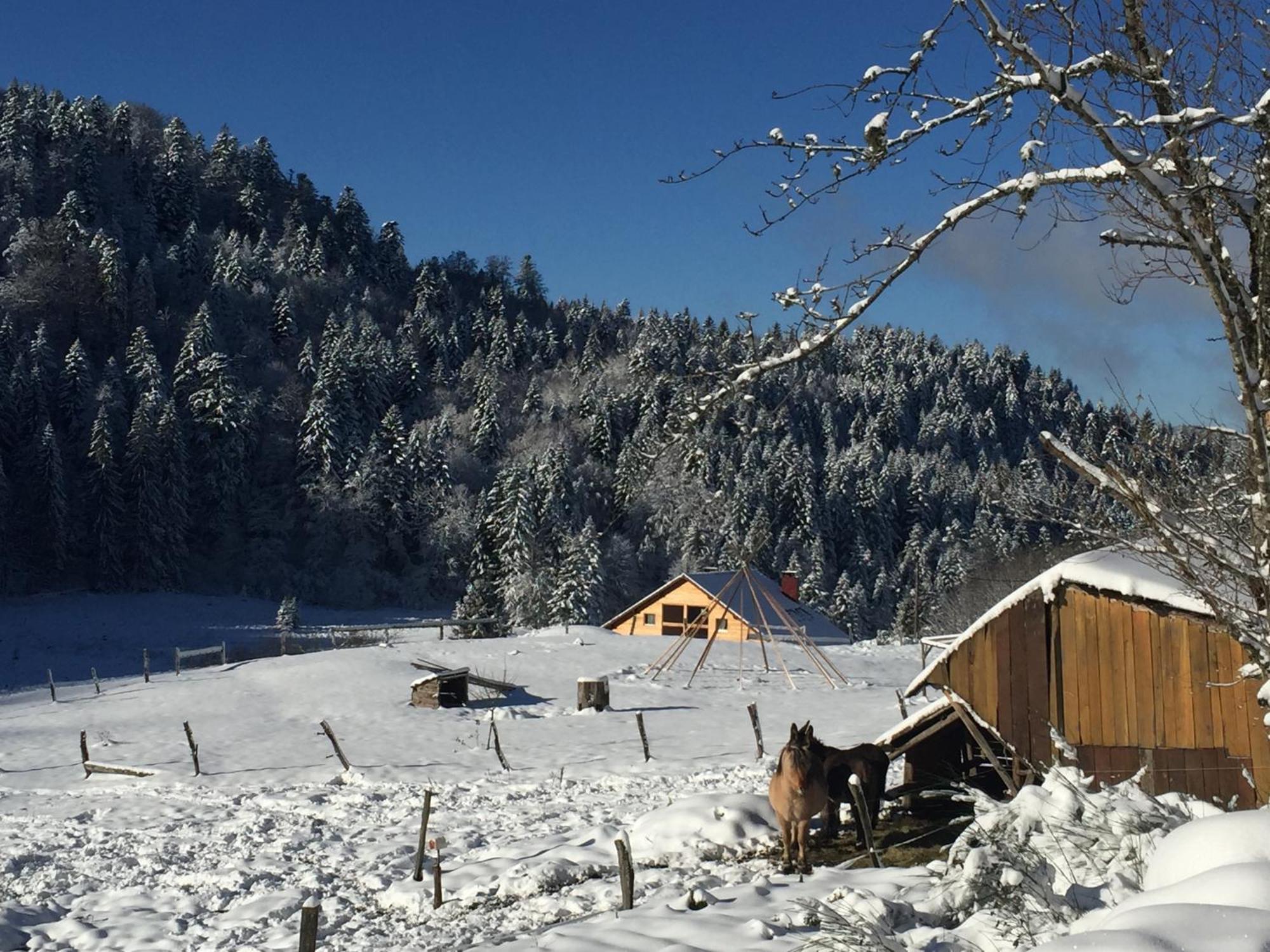Les Authentics - La Ferme Des Delices & Spa Gérardmer Exteriör bild