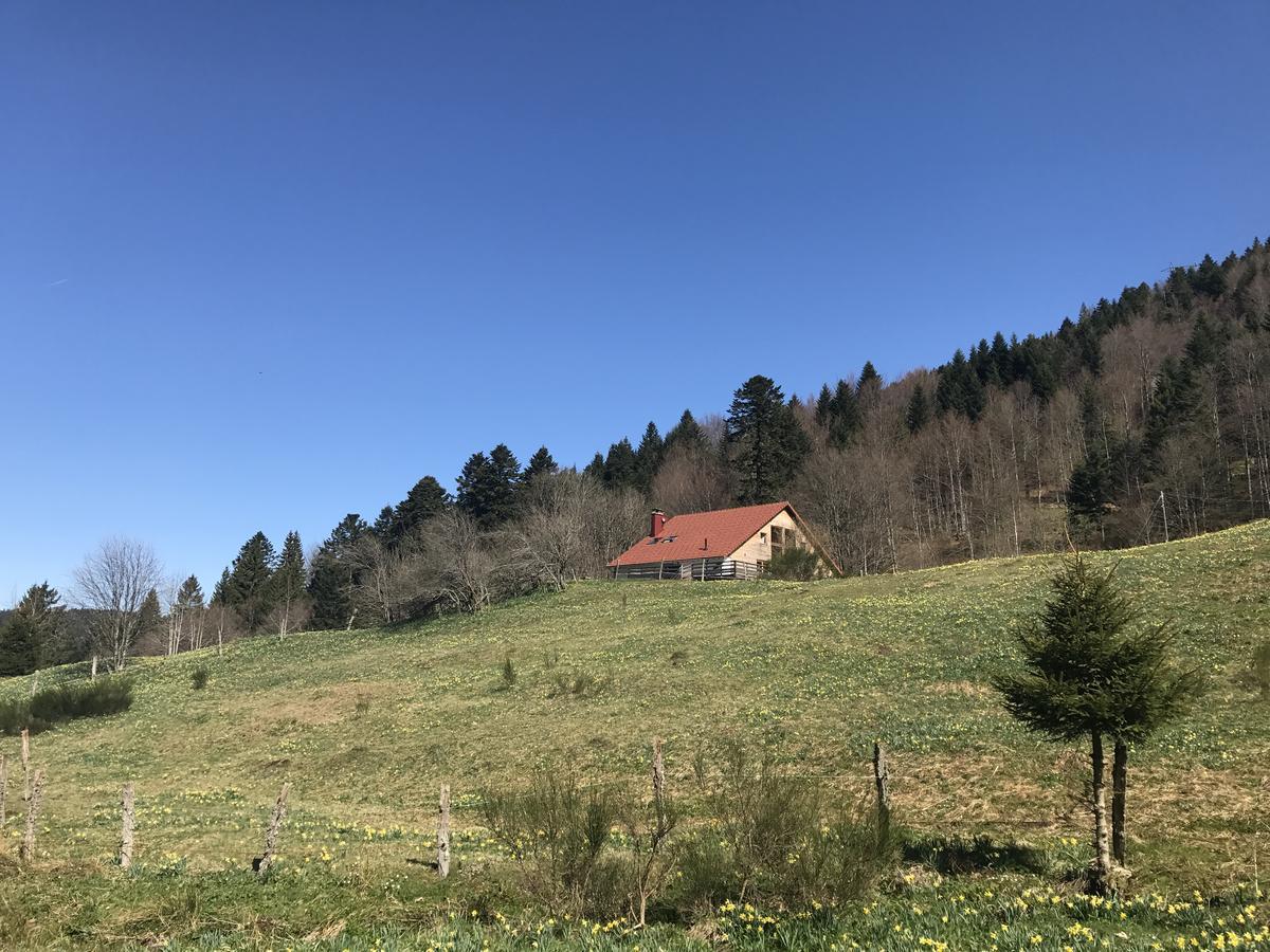 Les Authentics - La Ferme Des Delices & Spa Gérardmer Exteriör bild